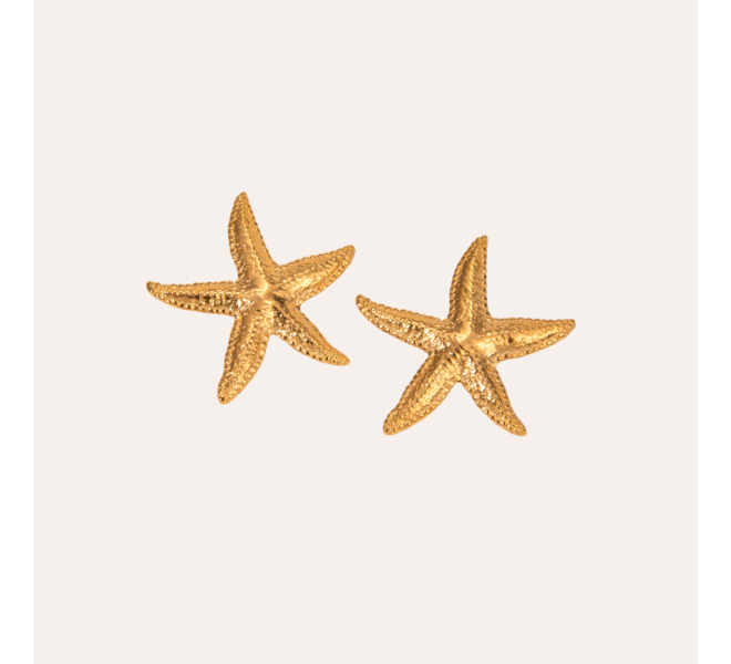 BOUCLES D'OREILLE ETOILES DE MER