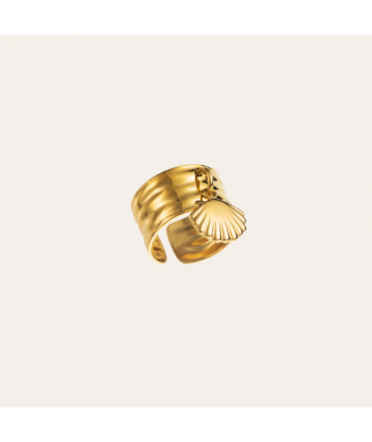 BAGUE ACIER