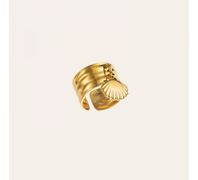 BAGUE ACIER