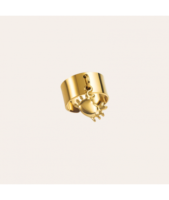 BAGUE ACIER