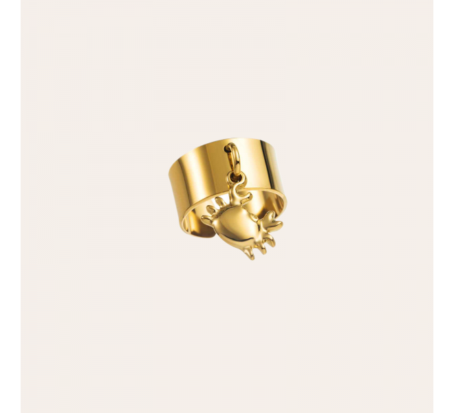 BAGUE ACIER