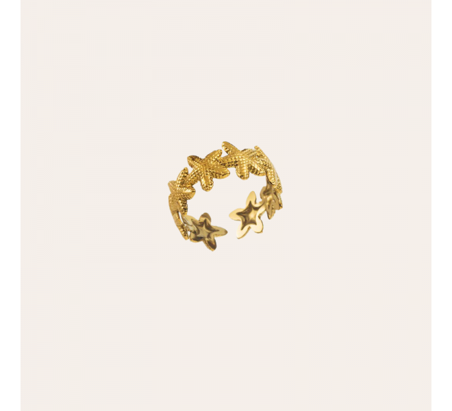 BAGUE ACIER