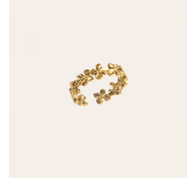 BAGUE ACIER