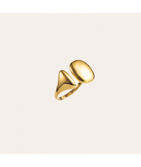 BAGUE ACIER 2