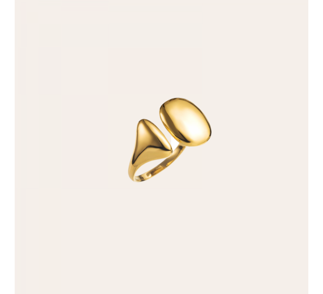 BAGUE ACIER