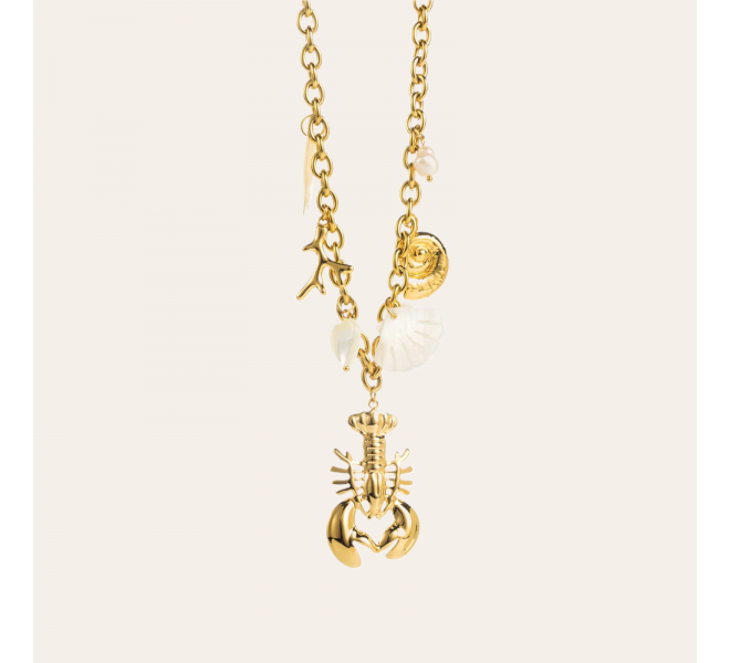 COLLIER CHARM
