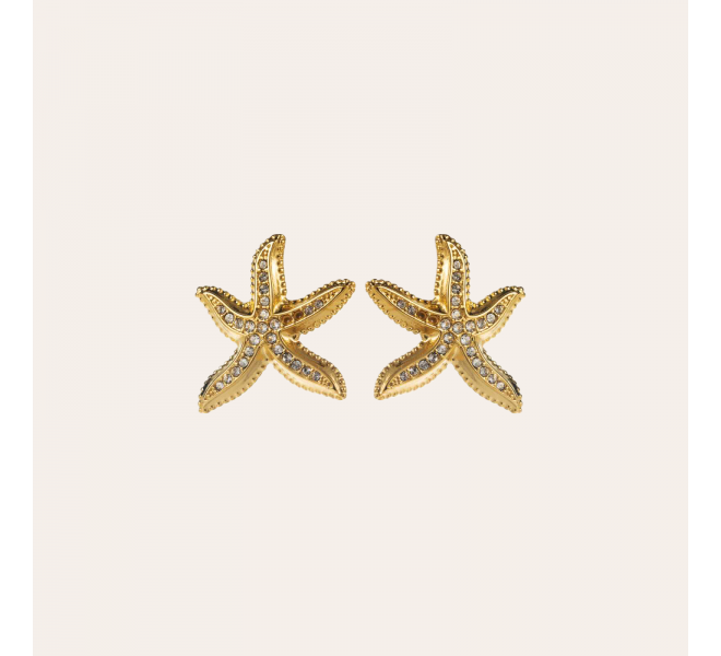 copy of Earrings Ø10