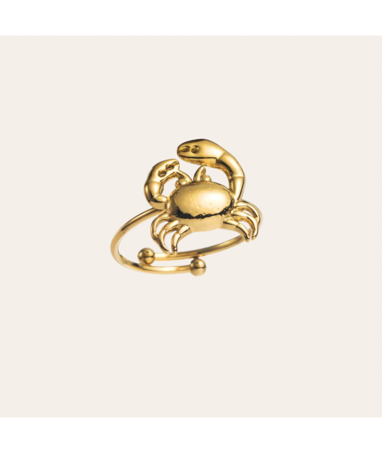 BAGUE ACIER