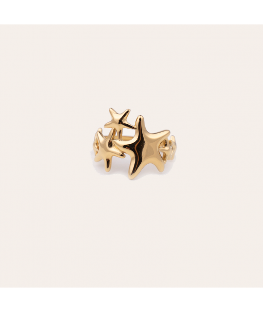 BAGUE ACIER