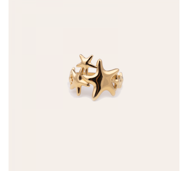 BAGUE ACIER