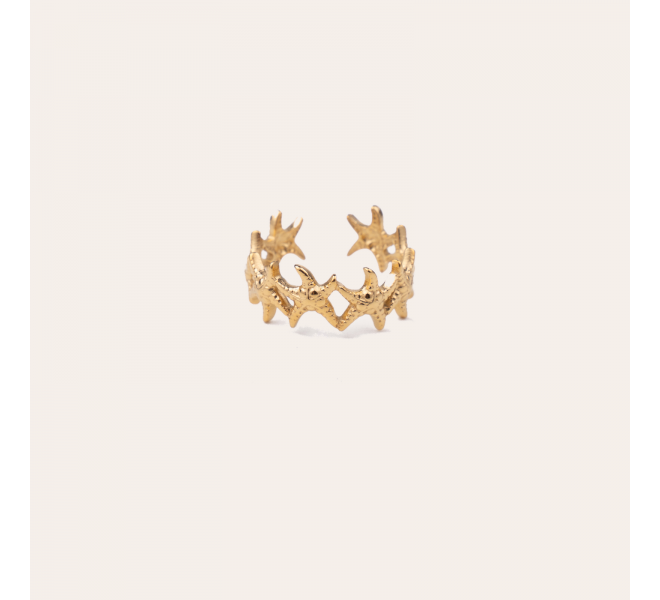 BAGUE ACIER