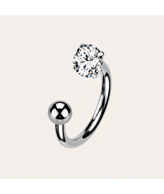 copy of Earrings Ø10