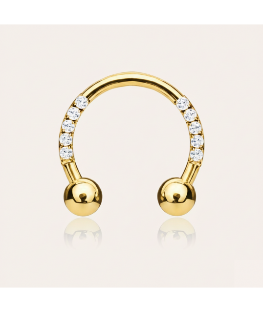 copy of Earrings Ø10