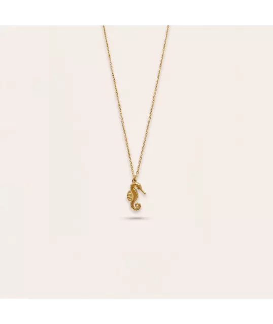 COLLIER HIPPOCAMPE