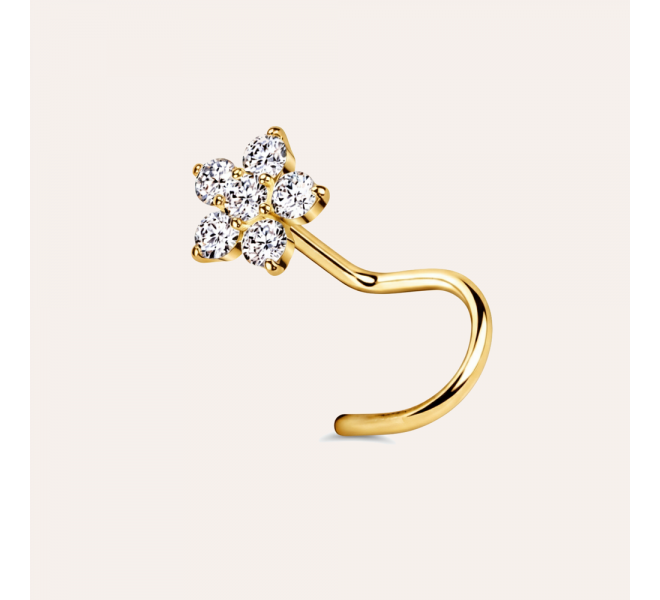 PIERCING DE NEZ ROMA