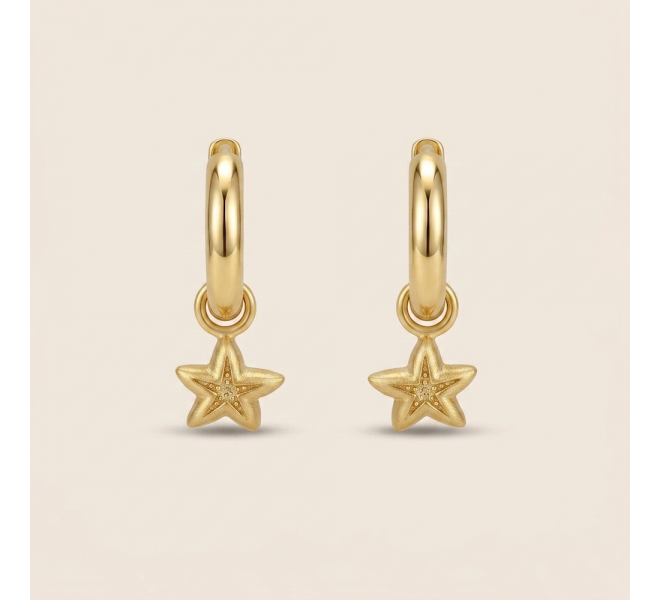 BOUCLES D'OREILLE ROYAN