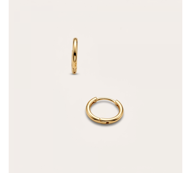 copy of Earrings Ø10