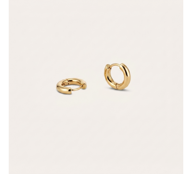 copy of Earrings Ø10