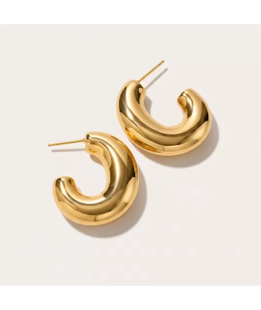 copy of Earrings Ø10