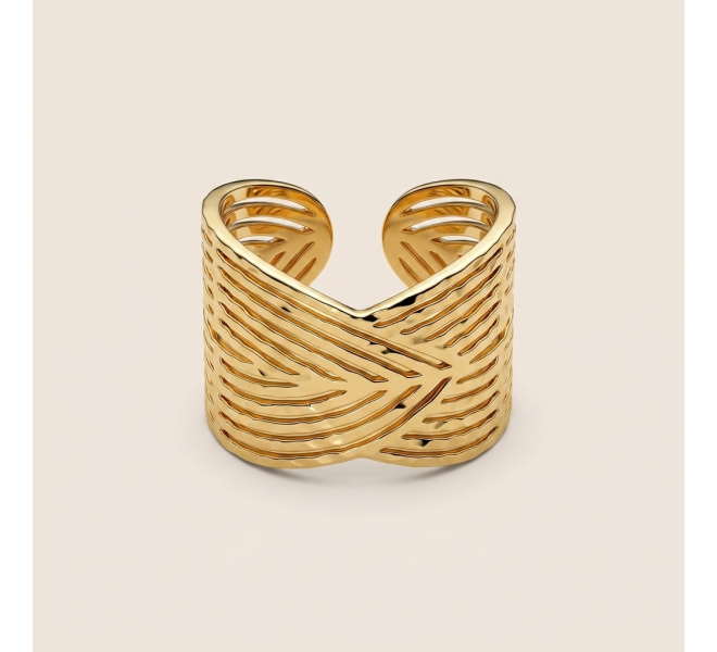 BAGUE NAUZAN