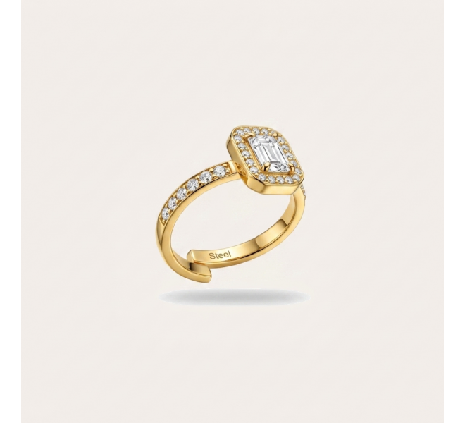 BAGUE VENI