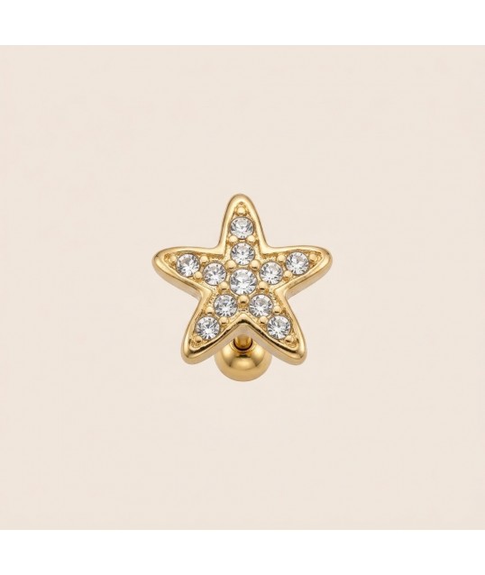 copy of Earrings Ø10