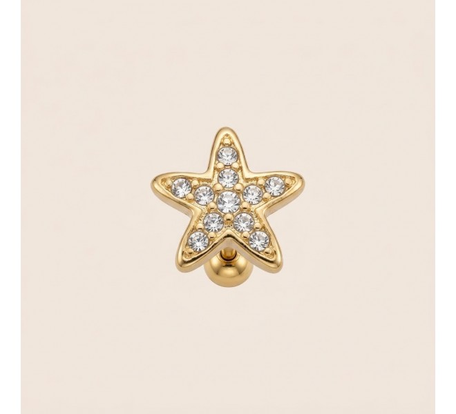 copy of Earrings Ø10