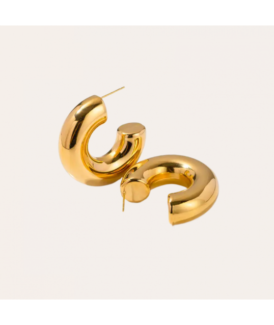 copy of Earrings Ø10