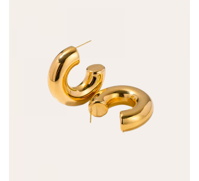 copy of Earrings Ø10