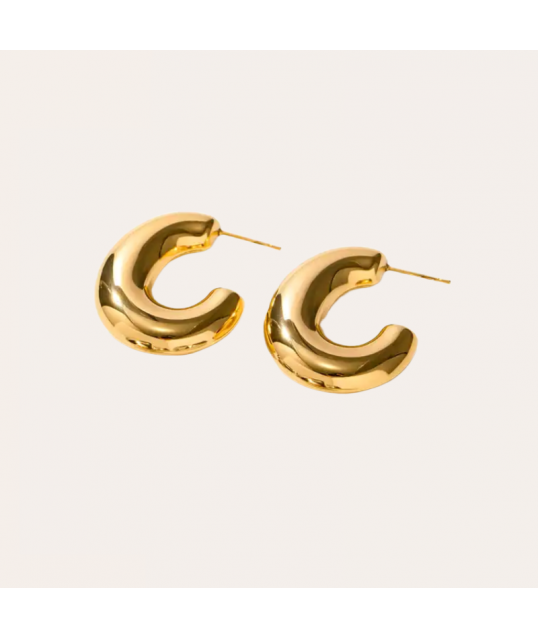 copy of Earrings Ø10
